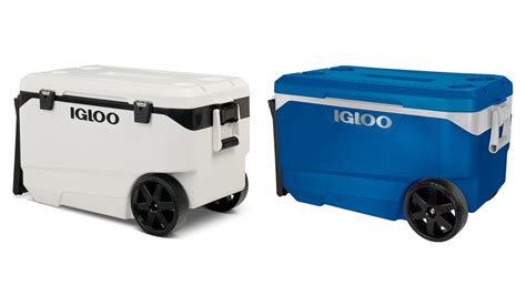 Over 1 million Igloo coolers recalled due to possible fingertip ...