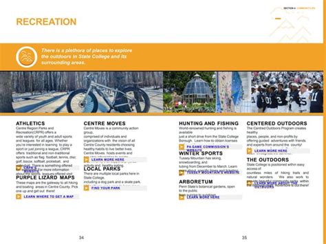 Lion Guide 的图像结果