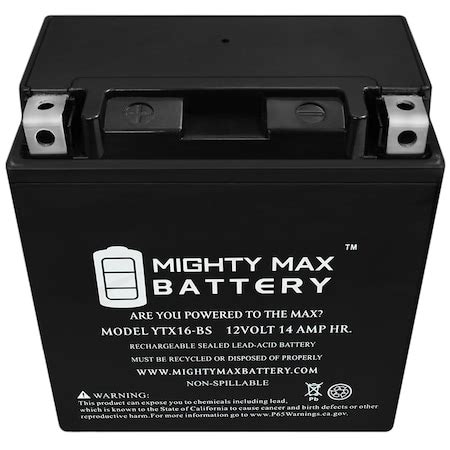 Mighty Max Battery 12-Volt 14 Ah 230 CCA Rechargeable Sealed Lead Acid ...