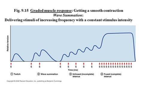 Image result for Wave Summation Graph
