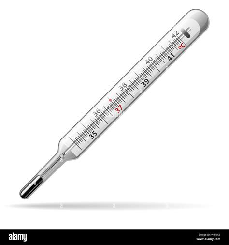 Rectal Thermometer Mercury Glass at William Wickens blog