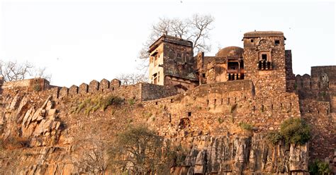 7 Oldest Forts in India That Tell Stories of the Past | WhatsHot Delhi Ncr