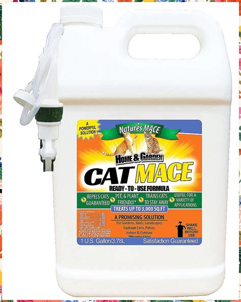 Cat Deterrent Spray Plants at Amy Palmer blog