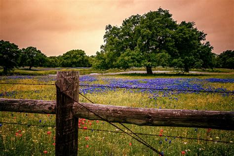 A County-by-County Guide to Agricultural Tax Exemptions in Texas