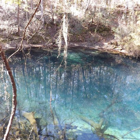 LEON SINKS GEOLOGICAL AREA (2024) All You Need to Know BEFORE You Go ...