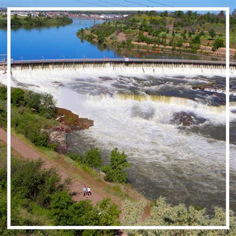 Misty Trees with Vibrant Flowers | Art classes | Brush Crazy Great ...