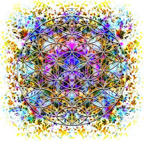 Image result for Flower of Life Pattern