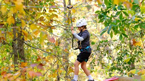 Greenville Flying Rabbit Adventures voted top 10 in US: Why it thrills