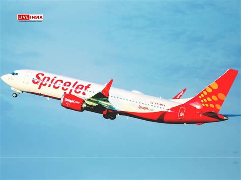 Image result for SpiceJet TV