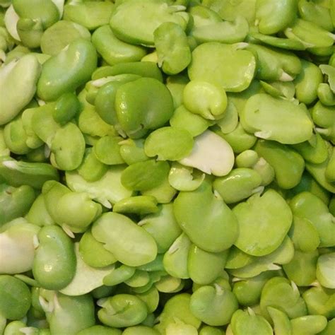 Fresh Frozen Peeled Green Fava Beans (باقلا سبز) 400 gr | G…