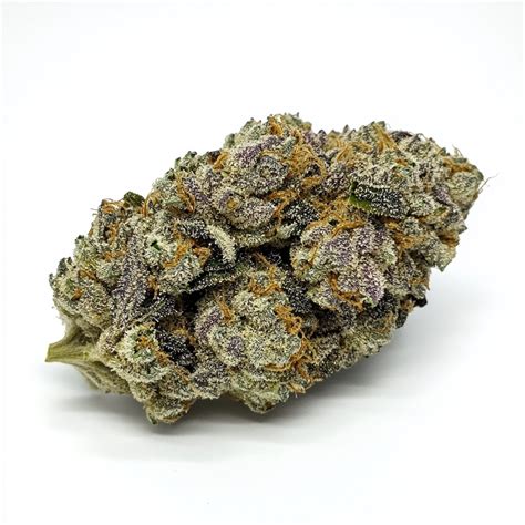 Permanent Marker wiet zaden | Seeds Genetics Co.