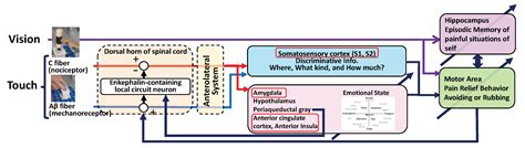 Artificial Pain May Induce Empathy, Morality, and Ethics in the ...