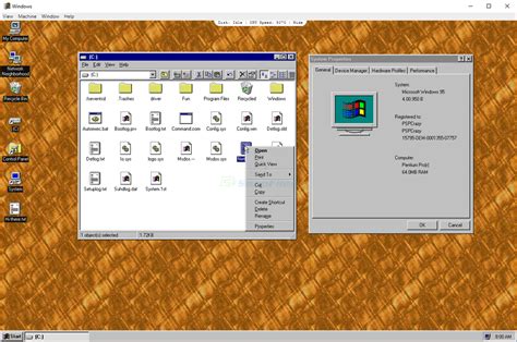 Image result for Win95 Screen Shot