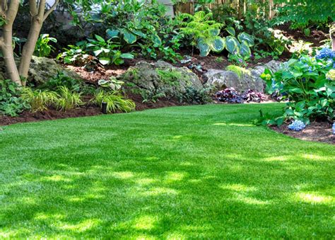 5 Best Shade Tolerant Grass Types | myhomeTURF