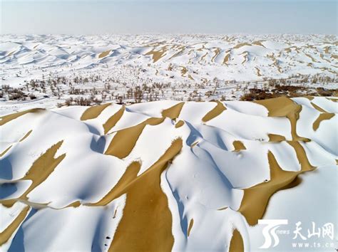 【高清组图】新疆塔克拉玛干沙漠降雪壮美如画-新闻中心-天山网