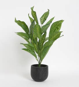 Home Bloom Artificial Plant Price in India - Buy Home Bloom Artificial ...