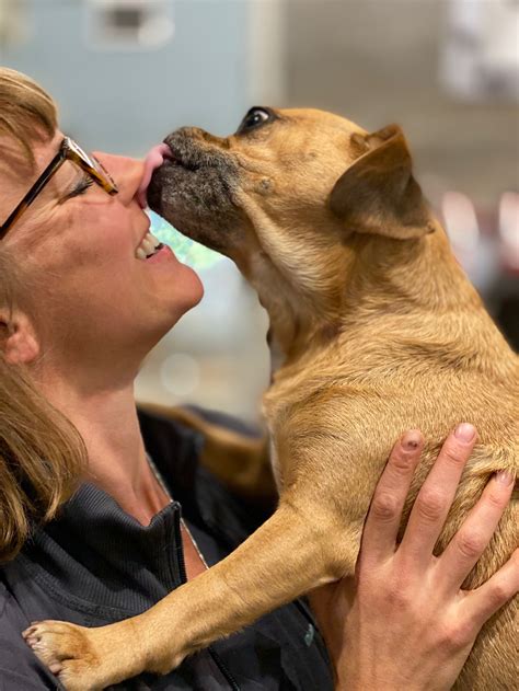 Contact Us | Crescent City Vet