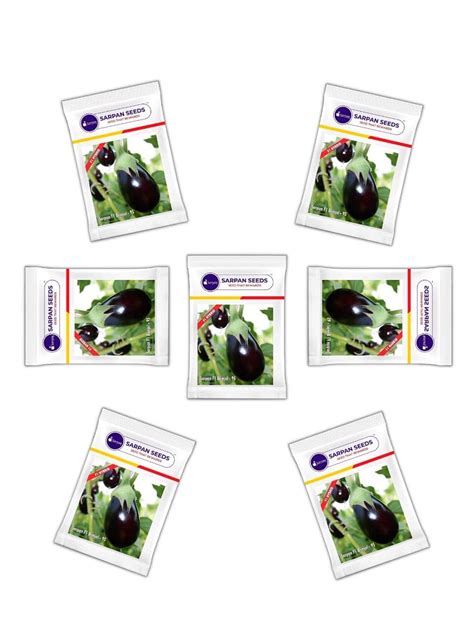 SARPAN SEEDS Sarpan - 95 Brinjal seeds, Baingan beej,Seeds for Home ...