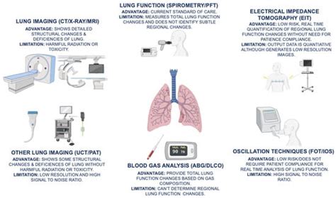 Early Diagnosis and Real-Time Monitoring of Regional Lung Function ...