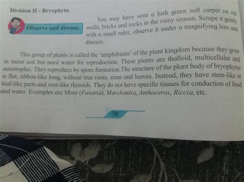 what are the characteristics of Bryophyta - Brainly.in