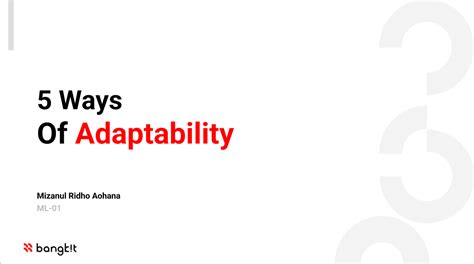 Image result for Adaptable Example