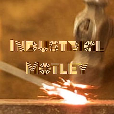 Infinite Tradecraft : Industrial Motley: Amazon.in: Audible Books ...