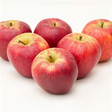Red Apple Fragrance Oil | Best Soap Fragrances | Soap Making Supplies