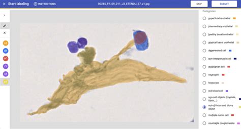 Image result for Annotation Tool in Deep Learning