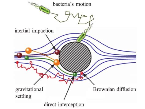 Code Python for Bacteria Movement 的图像结果