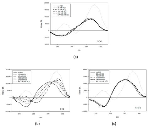 G-Quadruplex Modulation of SP1 Functional Binding Sites at the KIT ...