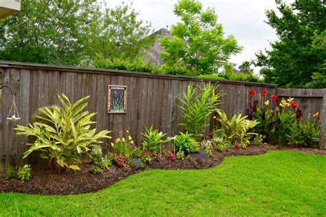 Ginger Garden along fence. | Fence landscaping, Front yard landscaping ...