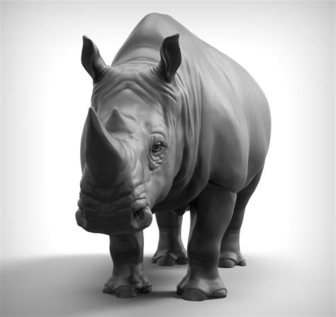 Rhino Free 3D Models obj - .obj download - Free3D