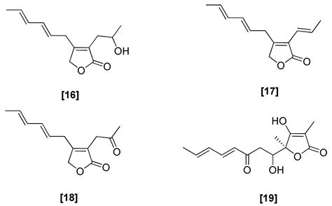 Bioactive Secondary Metabolites from Trichoderma spp. against ...