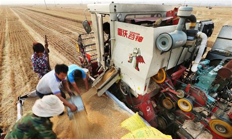 记者走“三夏”：小麦机收减损 农机手有妙招-西部之声