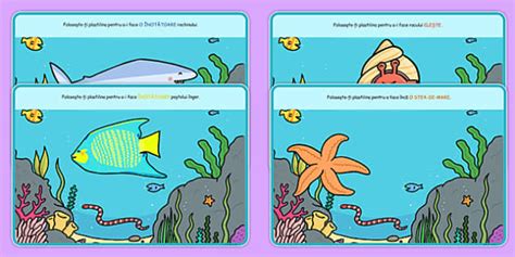 Animale marine – Planșe pentru modelaj cu plastilină