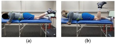 Test–Retest Reliability of Concentric and Eccentric Muscle Strength in ...