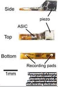 Dust-sized sensors may soon be available for treating epilepsy - The ...