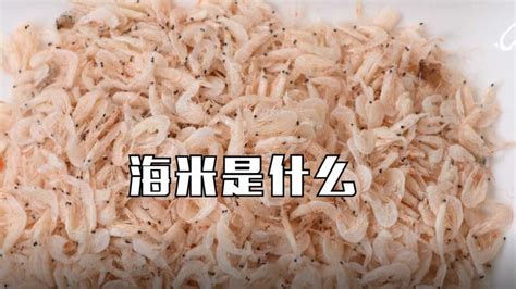 海米是什么 - 鲜淘网