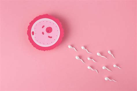 13 Day Post IUI: Symptoms, Pregnancy Test Timing & Care Tips