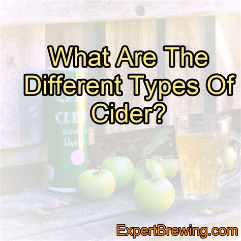 What Type Of Beer Is Cider at Erin Mackenzie blog