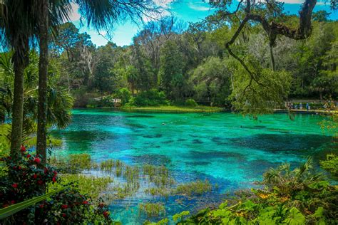 The Springs of Florida — Miles 2 Go | Rainbow springs state park ...