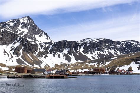 Grytviken: The Charming Capital of South Georgia Islands - Margaret ...