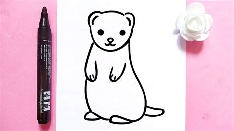 How to draw a Cute Ferret easily / step by step lesson - YouTube