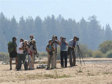 TAHOE INSTITUTE FOR NATURAL SCIENCE - All You Need to Know BEFORE You ...