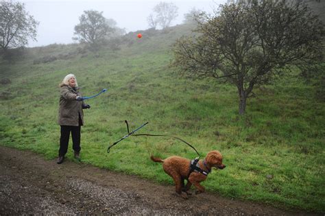 PHOTOS: Immersed in nature at Walnut Creek's Shell Ridge Open Space