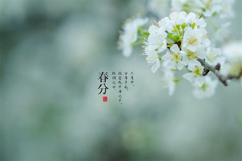 春分图片素材,春分图片时节,春分图片_大山谷图库