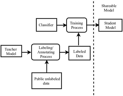 Model Training Process 的图像结果