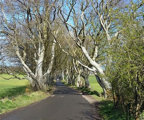 THE 10 BEST Places to Visit in Ballymoney (2026)