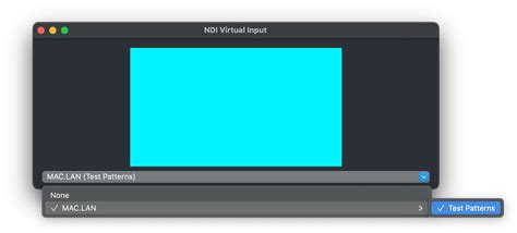 Image result for NDI Virtual Input
