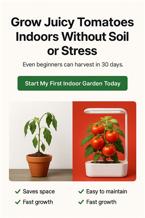 "Can You Grow Rice Hydroponically?" – The 2025 Expert Guide - DIY Organic Gardening - can you grow rice from rice